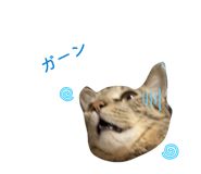 843535511