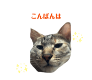 843535513