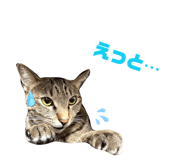 843535516