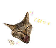 843535517