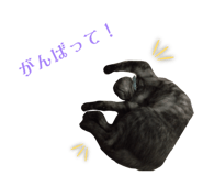 843535525