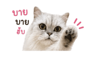 843536882
