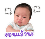 843537146