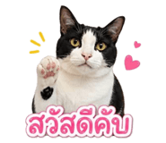 843537172