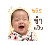 843537653