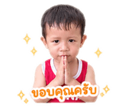 843537943