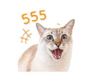 843538290