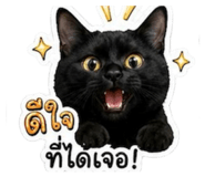 843538522