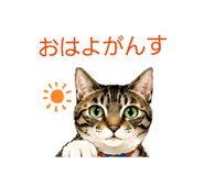 843538841