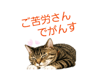 843538842