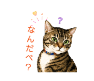 843538844