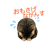 843538846
