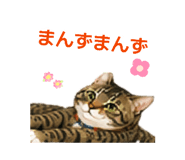 843538850