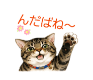 843538855