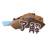 843538861