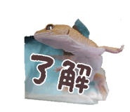 843538862