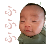 843538961