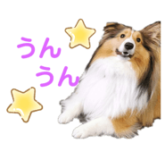 843539178