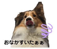 843539182