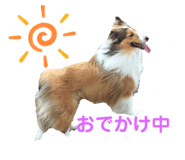 843539184