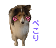 843539185
