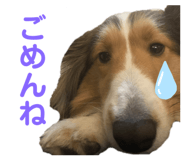 843539186