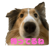 843539191