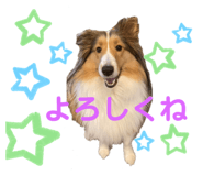 843539192