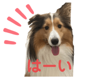 843539194