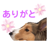843539195