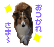 843539199
