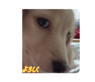 843539263