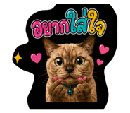 843539379
