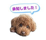 843539424