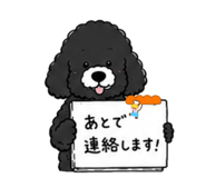 843539504