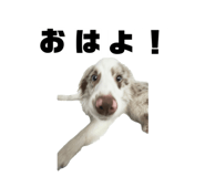 843539665