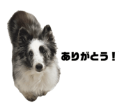 843539666