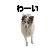 843539672