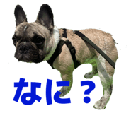 843539715