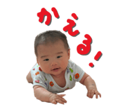 843540087