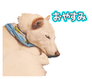 843540154