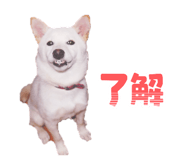 843540156