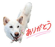 843540160
