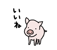 843540304