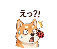 843540419