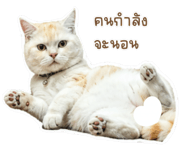 843540441