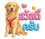843540449