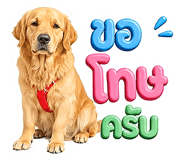 843540464