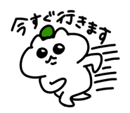 843540811