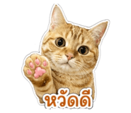 843541137
